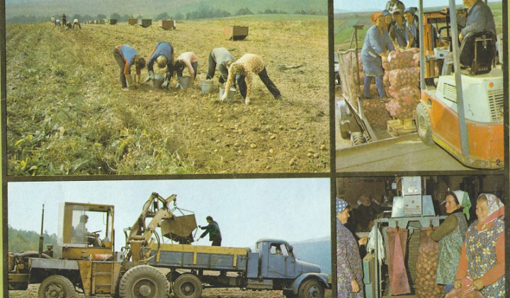 1. fotografia fotogalérie Organizácie / Družstvo podielnikov - Biodružstvo Smilno - foto