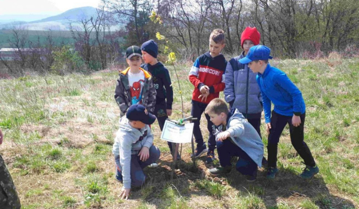 6. fotografia fotogalérie Deň Zeme 2022 na Kreminke