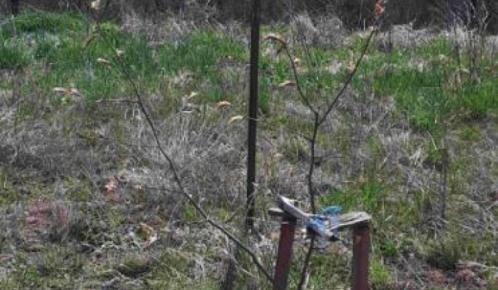 7. fotografia fotogalérie Deň Zeme 2022 na Kreminke