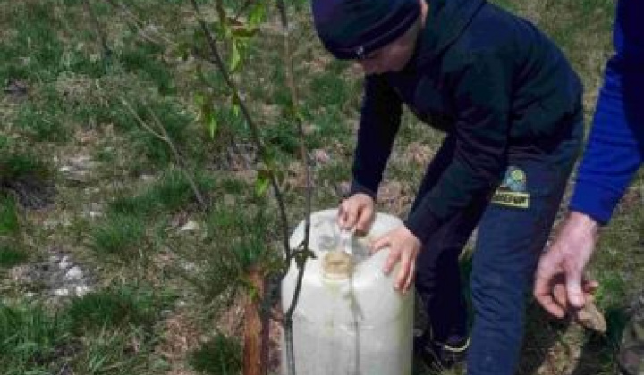 10. fotografia fotogalérie Deň Zeme 2022 na Kreminke