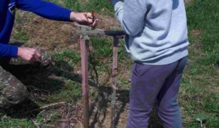 11. fotografia fotogalérie Deň Zeme 2022 na Kreminke