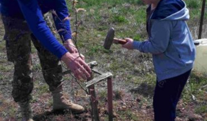 12. fotografia fotogalérie Deň Zeme 2022 na Kreminke