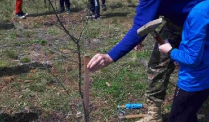 14. fotografia fotogalérie Deň Zeme 2022 na Kreminke