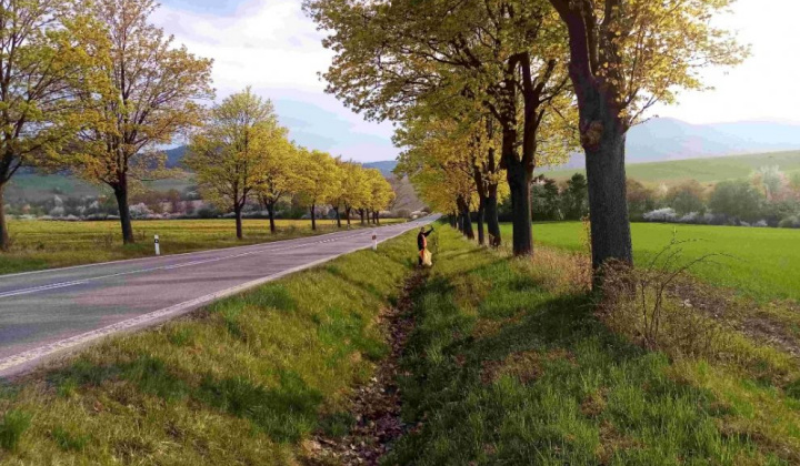 9. fotografia fotogalérie Vedenie obce brigáduje